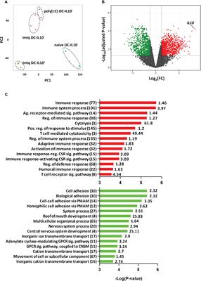 Gemcitabine-mediated depletion of immunosuppressive dendritic cells enhances the efficacy of therapeutic vaccination